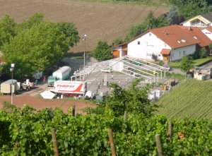 Der letzte Blick